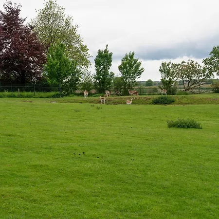 بيت للعطل In Voerendaal With Terrace Voerendaal