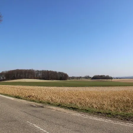 In Voerendaal With Terrace *